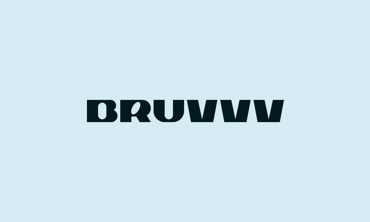 Bruvvv SaaS Design Agency Logo Style Guide on Light blue background