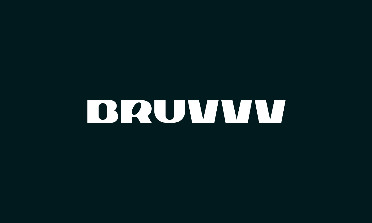 Bruvvv SaaS Design Agency Logo Style Guide on Dark Green background